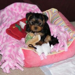 Meet your Posher, Dianne